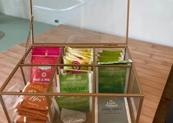 Tiny House De Oude Berg Bergen